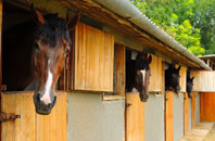 free Halberton stable construction quotes